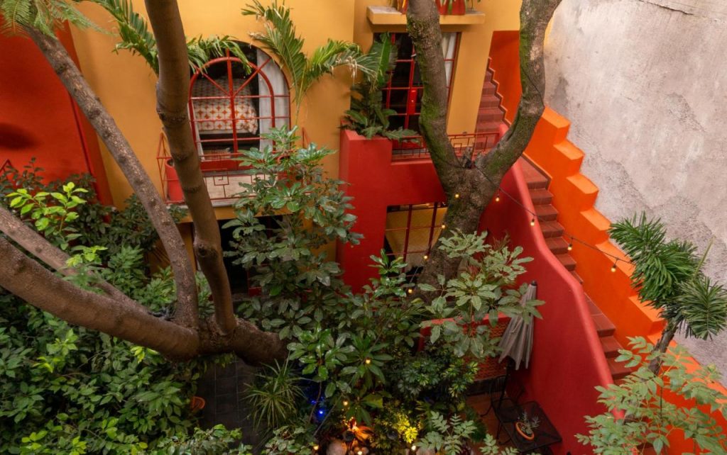 מלון בית העץ האדום מקסיקו סיטי