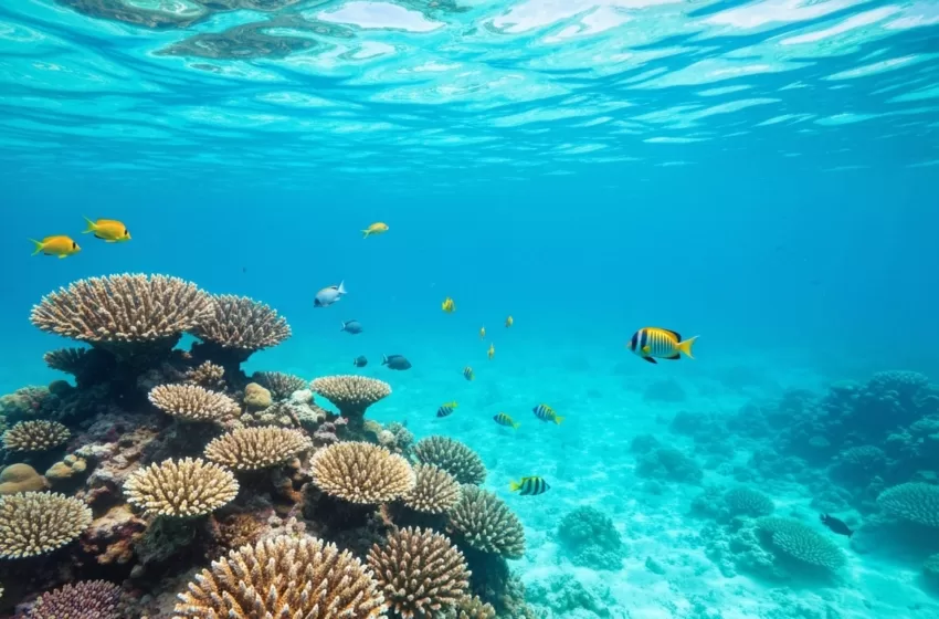  הפעילויות המרתקות ביותר בקנקון לחורף 2025 – מדריך מקיף למטיילים